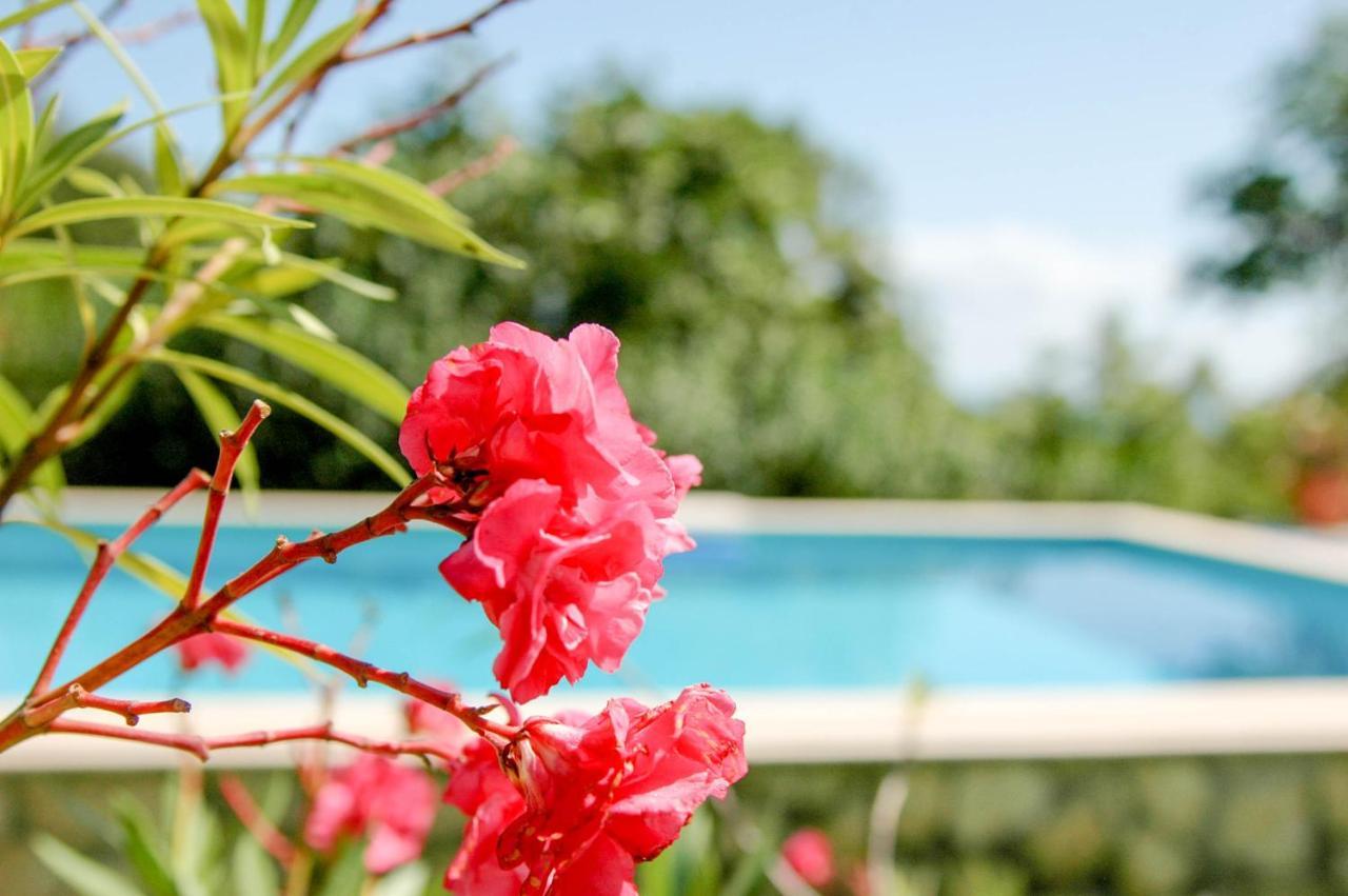 Villa Regina Serafina Балчик Екстериор снимка
